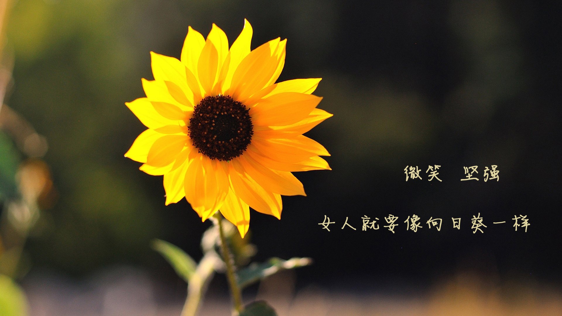 AIYOUXI.COM-关键先生！保罗绝杀带来终极战役，保罗出战