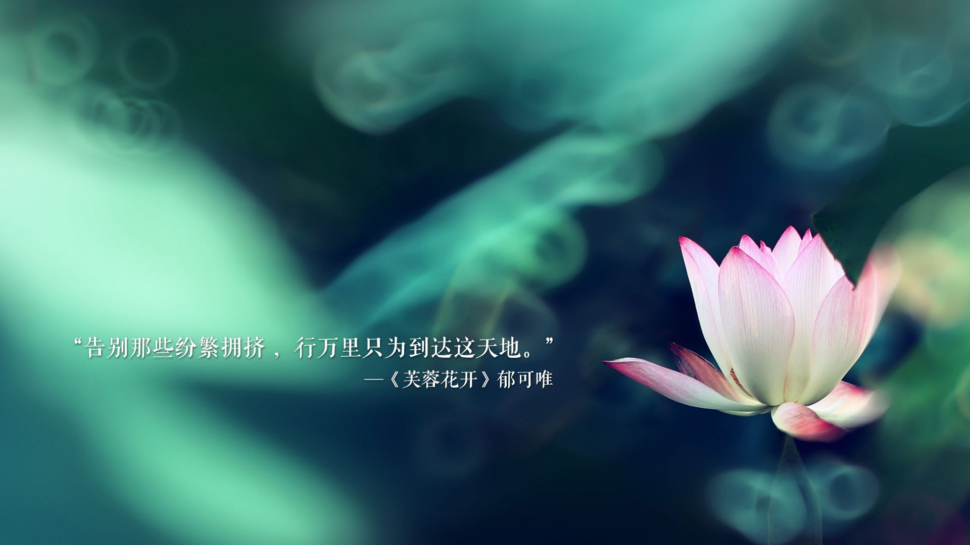 费基尔加盟皇家贝蒂斯，费基尔足球俱乐部