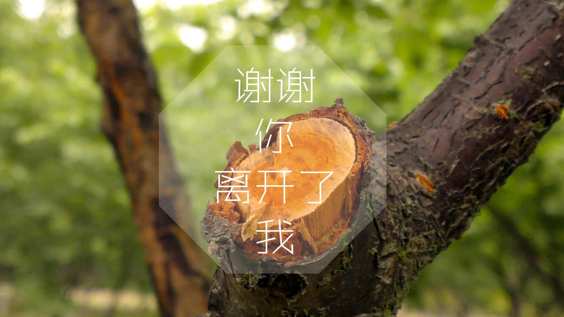爱游戏登录入口-青少年篮球行业标准逐步完善，推动行业健康持续发展，青少年篮球发展现状及对策研究