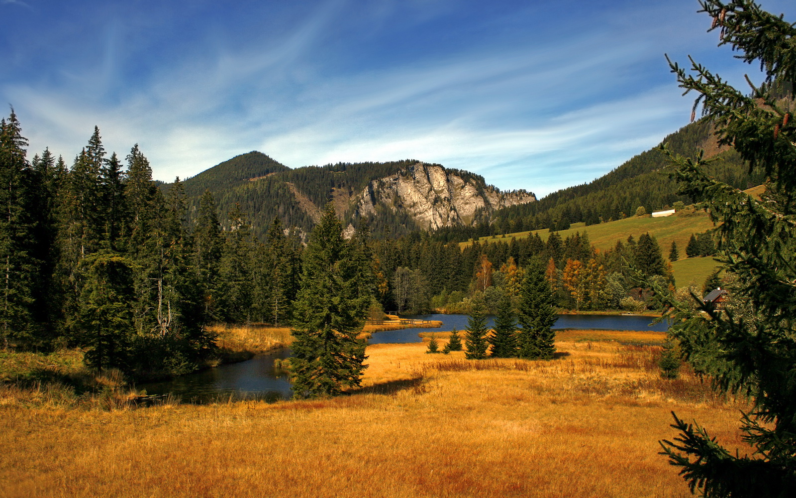 巨头对决,看谁能在赛场上占据主动,巨头大战