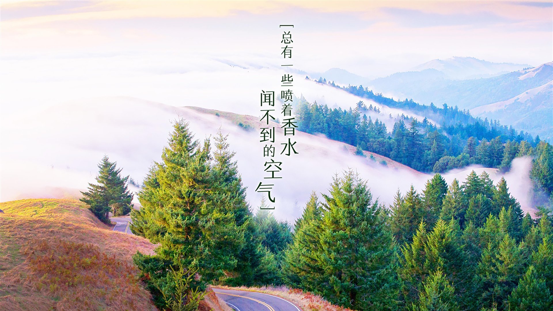 AYX GAME-最佳团队：完整阵容和团队合作分析，最佳团队规模