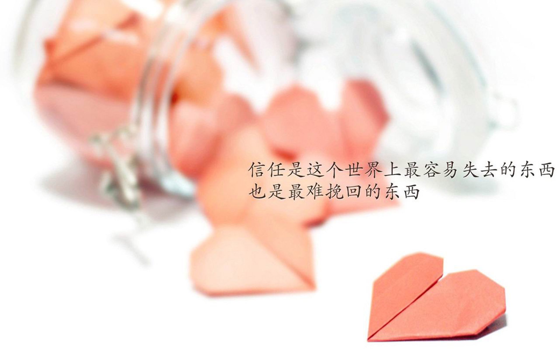 体育新闻中心启动体育内容原创保护专项行动，体育新闻专题报道
