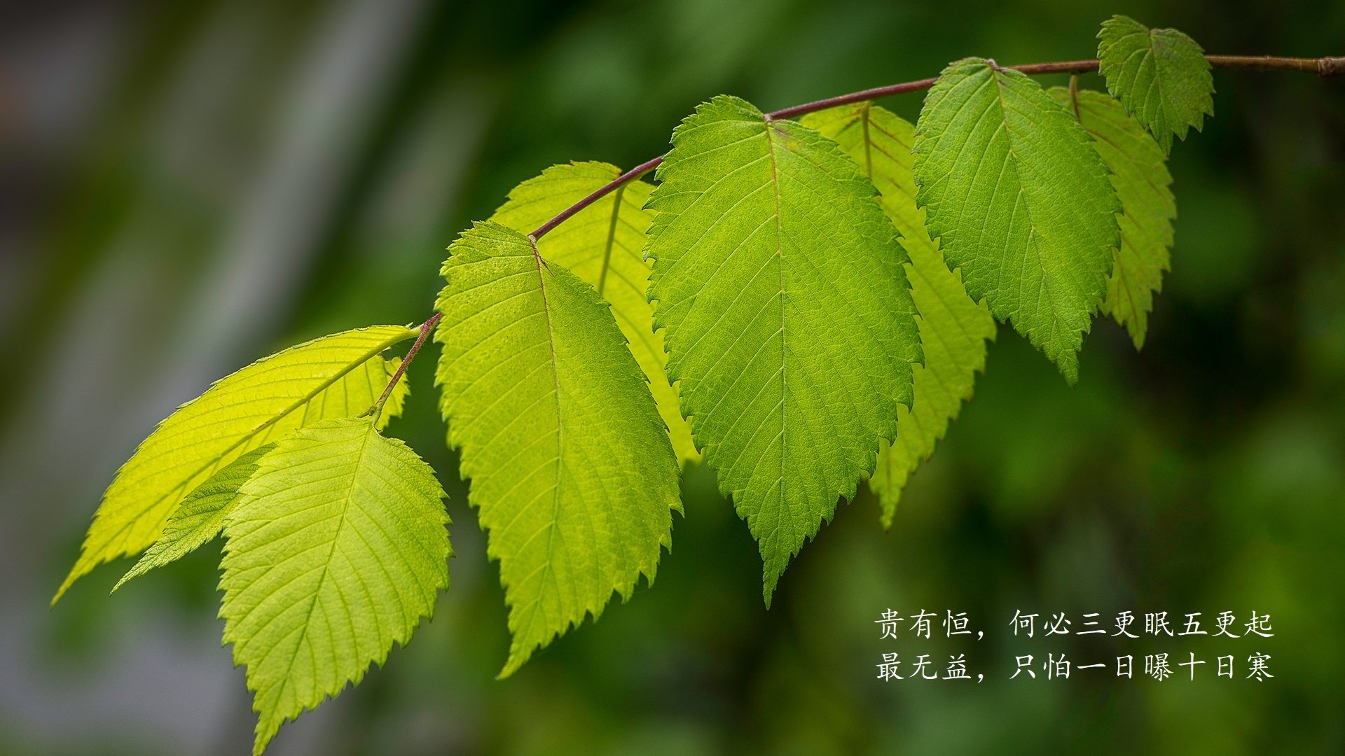 爱游戏娱乐-基层足球教练能力提升缺乏平台，基层足球教练能力提升缺乏平台怎么办