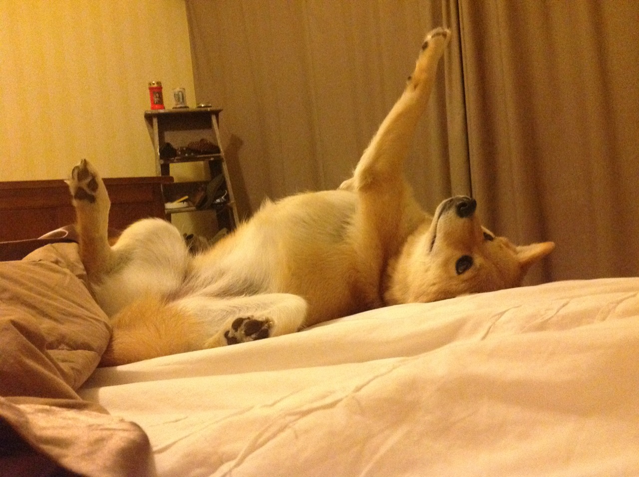 英超球队赛季体能动态调整与比赛表现相关性研究,英超体能测试