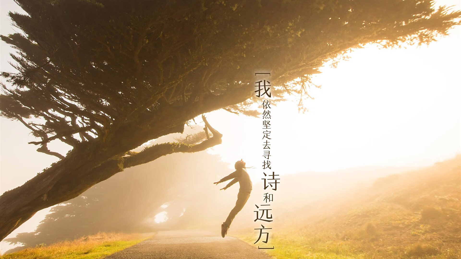 CBA联盟与多家科技企业展开数据合作计划,cba联盟公司