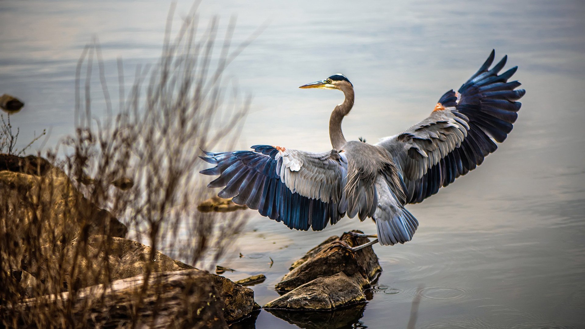 CBA球队注重战术传承融合历史与现代打法,cba development