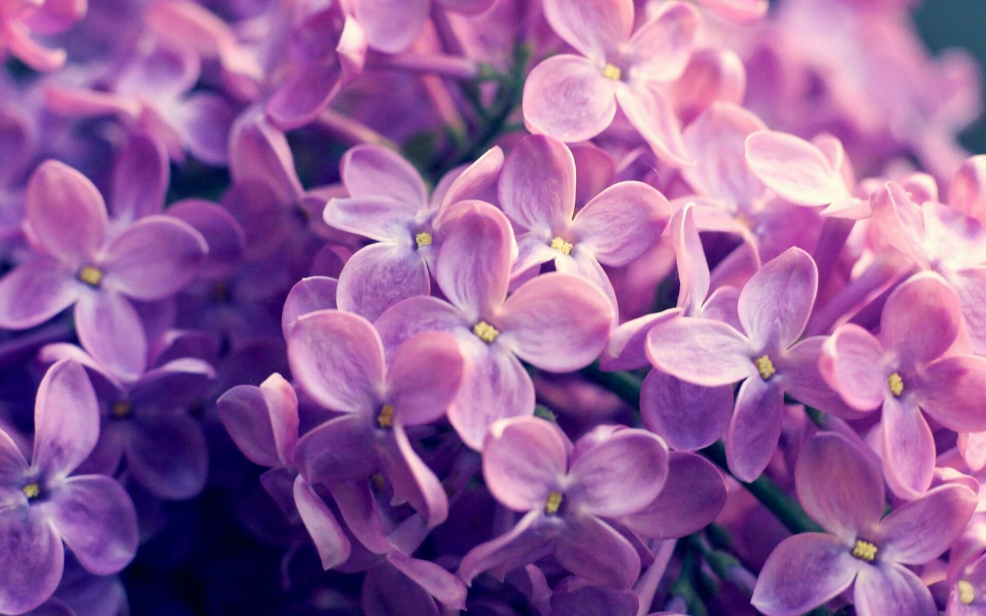 运动员运动伤害预防与康复新技术逐步推行,预防运动员损伤及治疗运动员损伤的重要手段