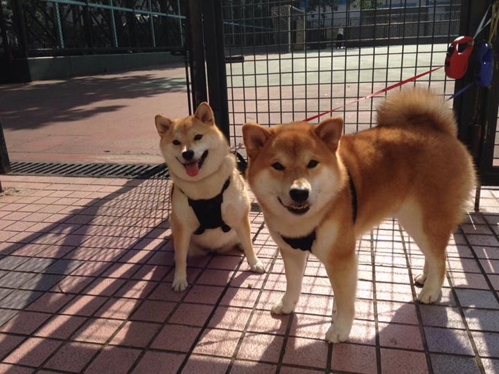 “武汉马拉松：谁能在这条赛道上破浪前行？”