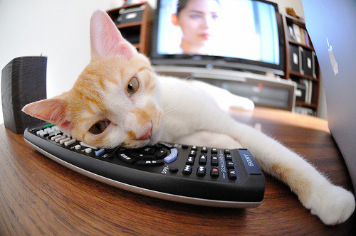 “武汉马拉松：谁能在这条赛道上破浪前行？”