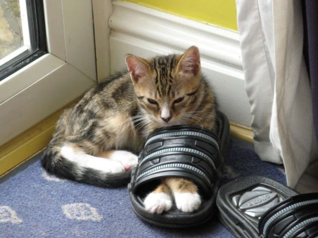 世界杯预选赛U23国足爆冷 球迷分析战术漏洞，国足2020世界杯预选赛出线前景